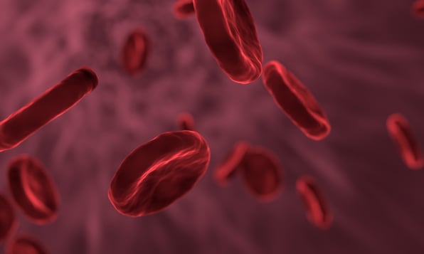 Faculty - the life blood of universities and business schools