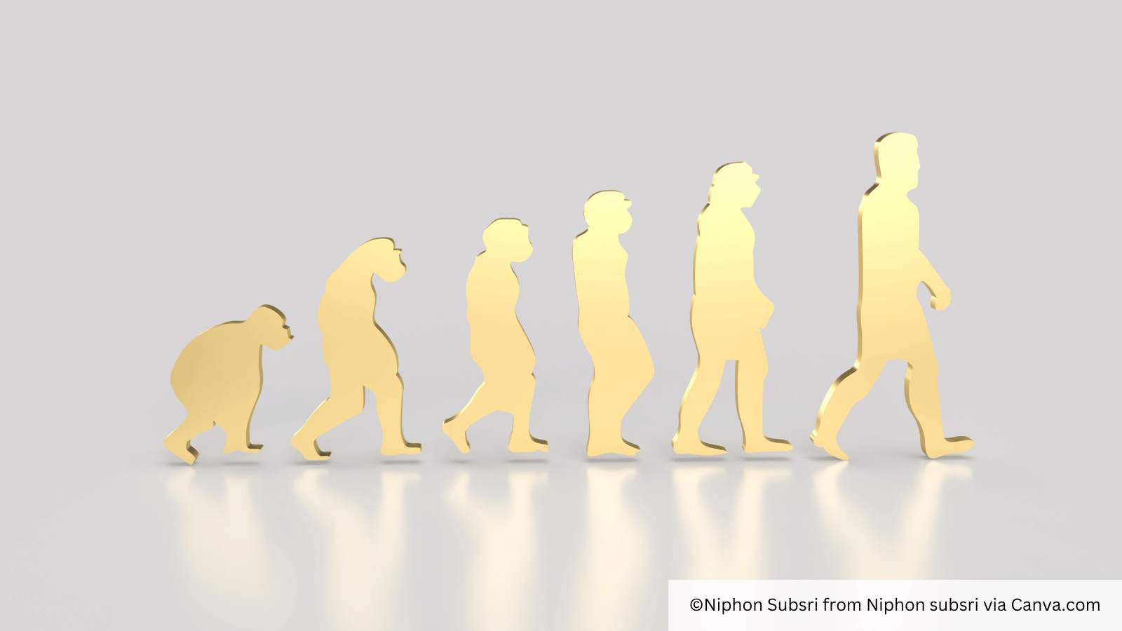 evolution