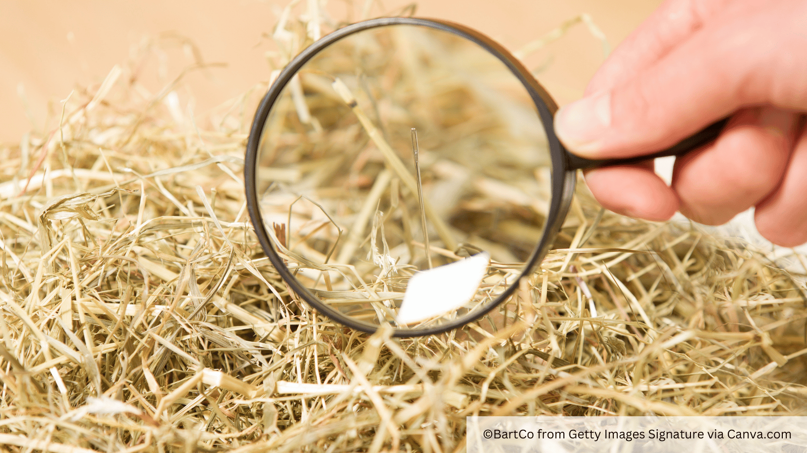 needle in a haystack