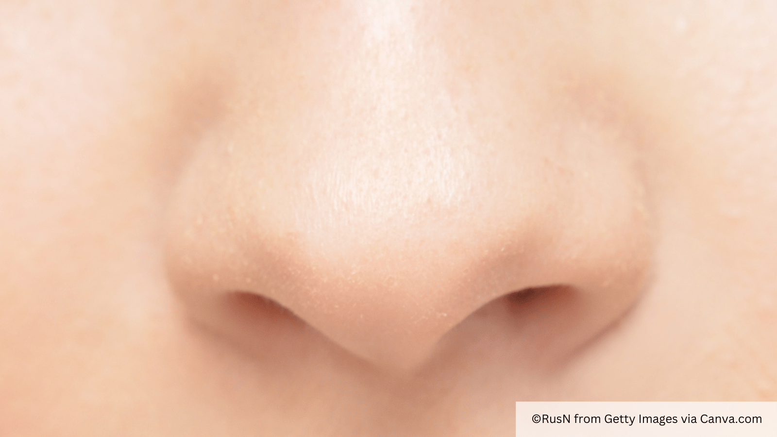 sense nose