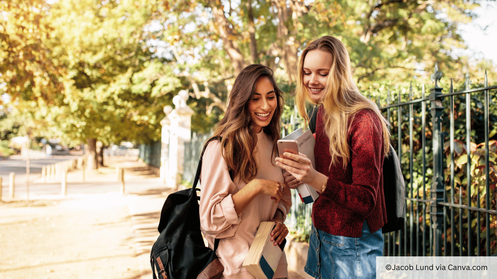 social connection with students