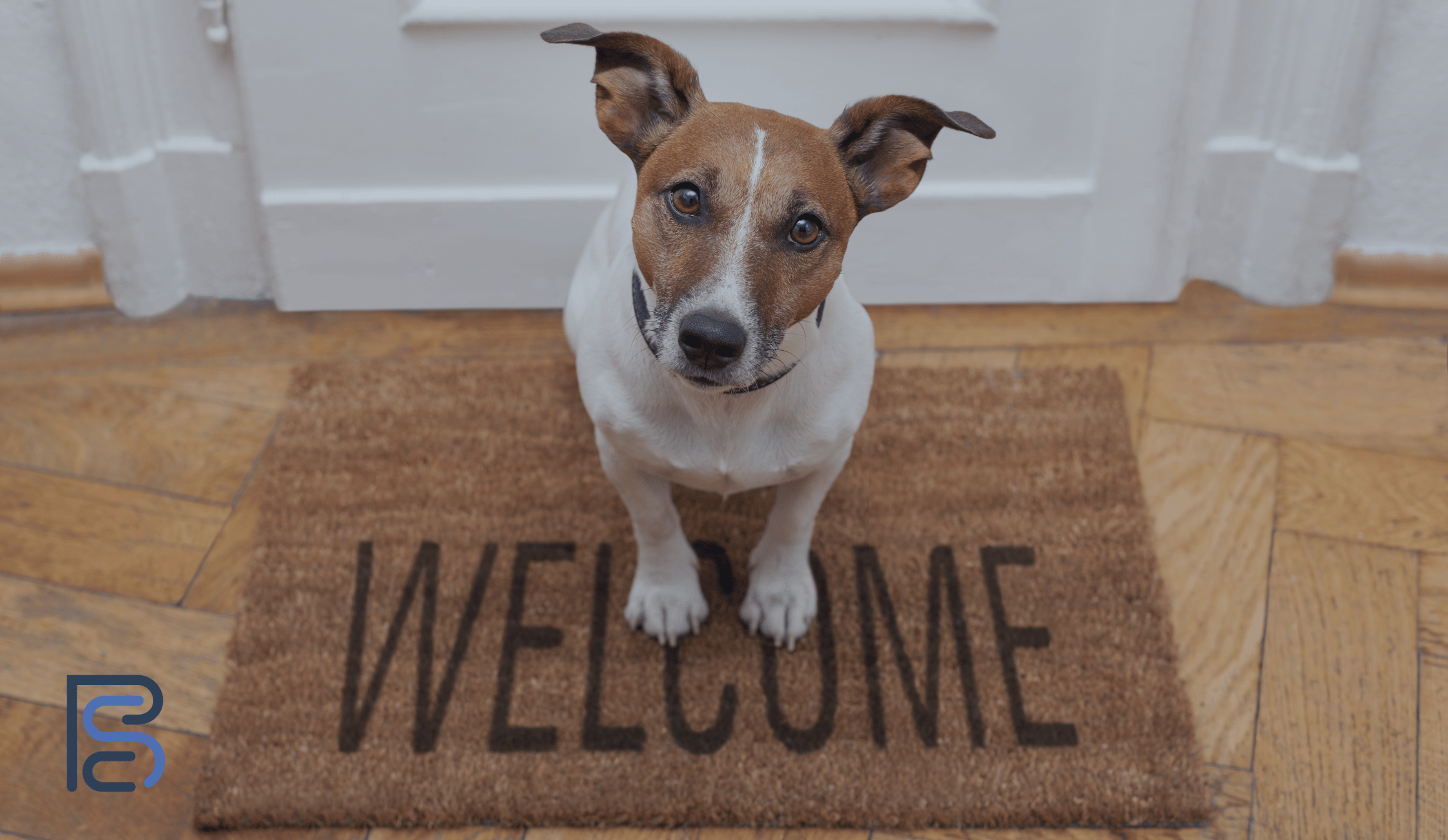 welcome dog on mat